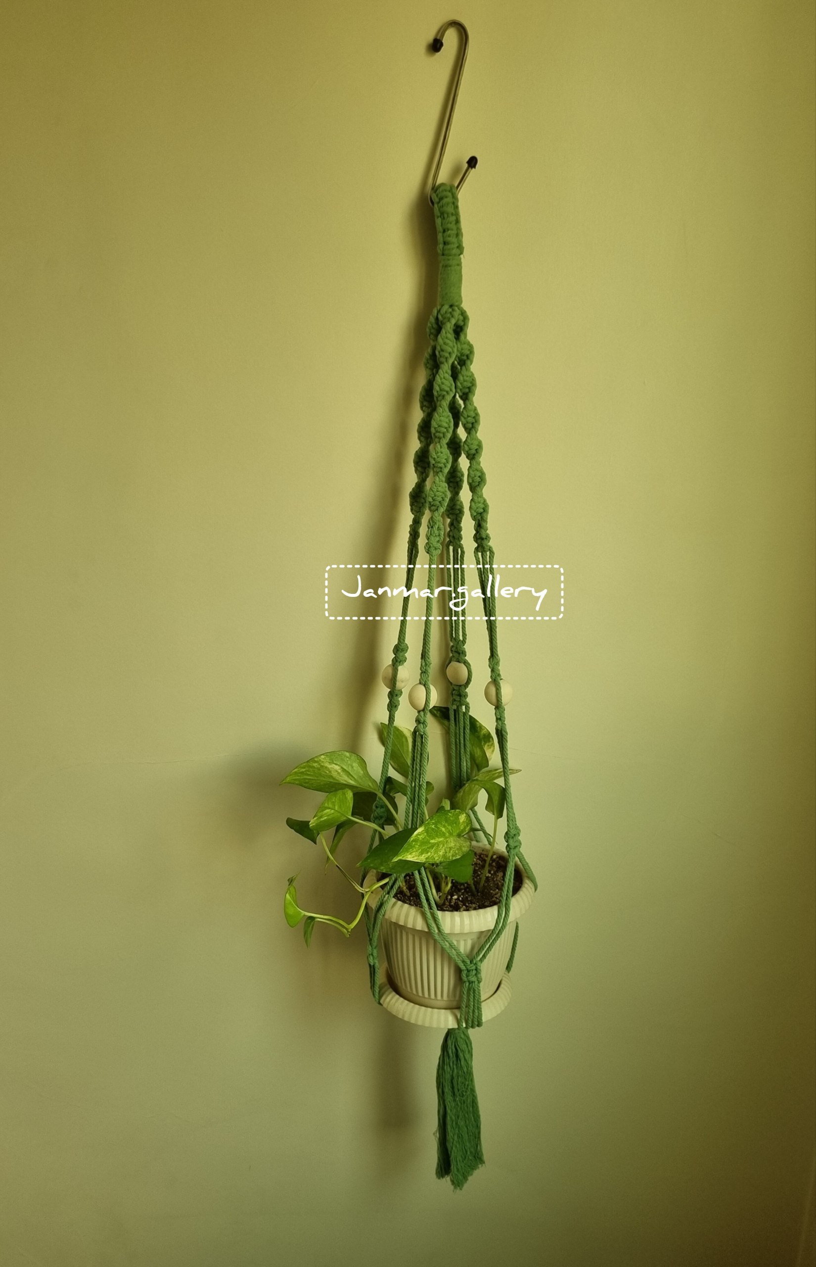 خرید آنلاین آویز گلدان از تهران