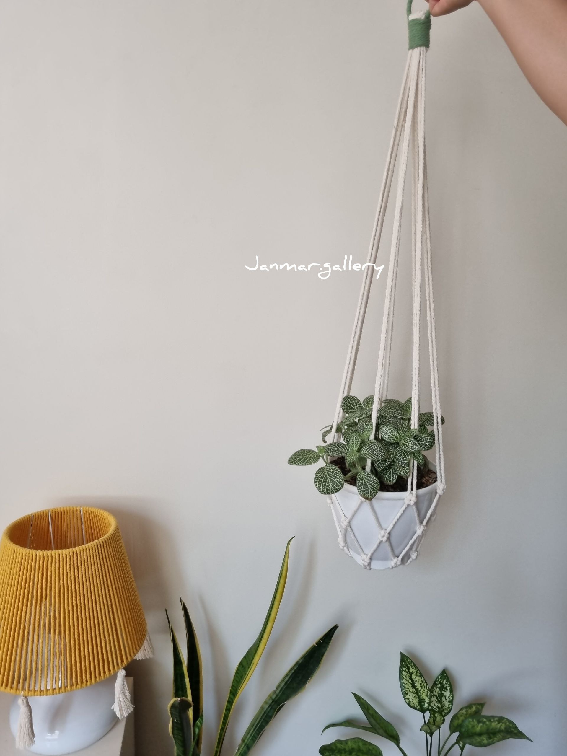 آویز گلدان سقفی