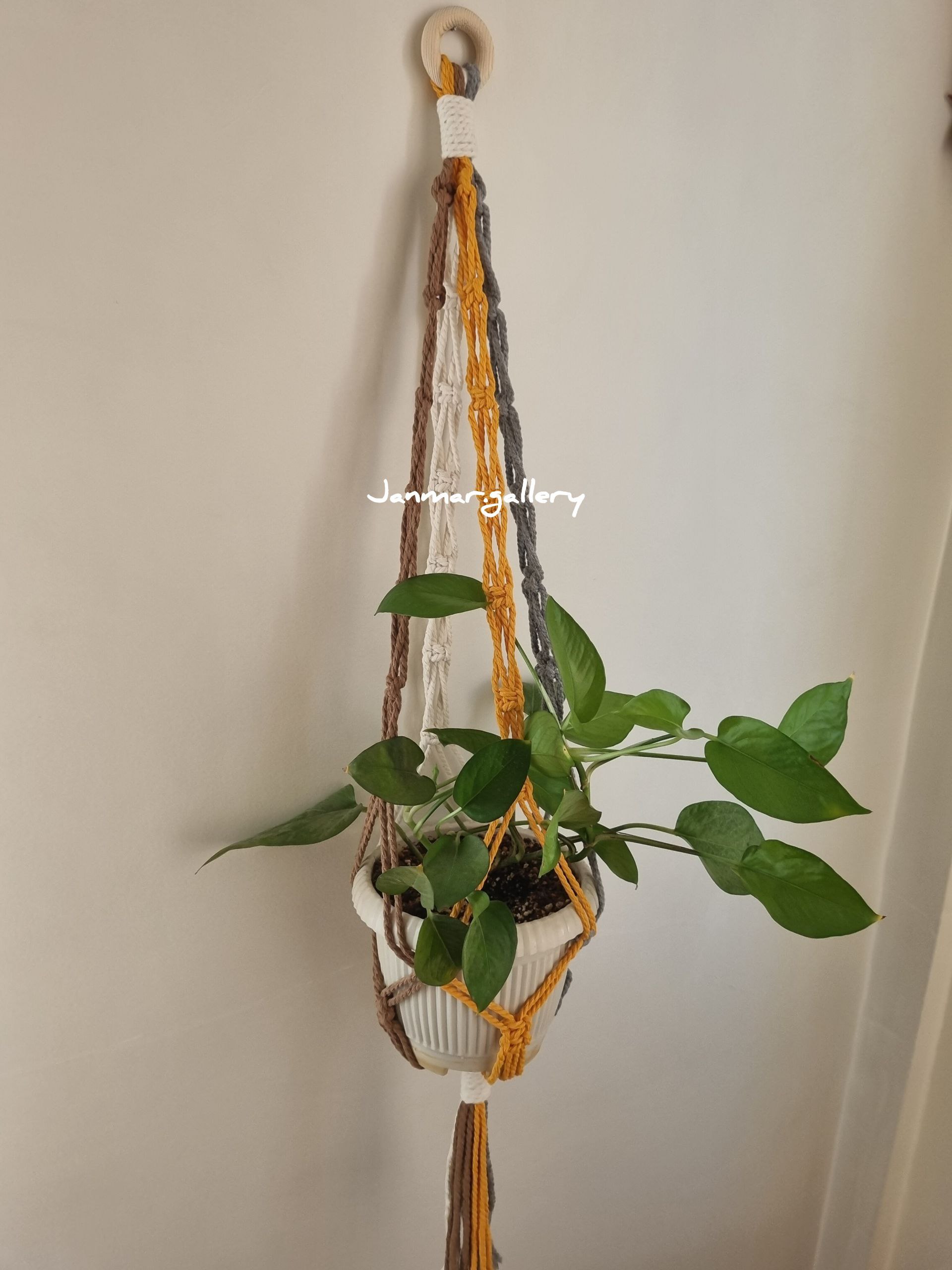 آویز گلدان سقفی