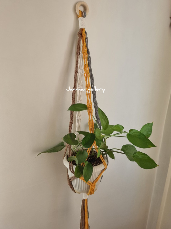 آویز گلدان سقفی