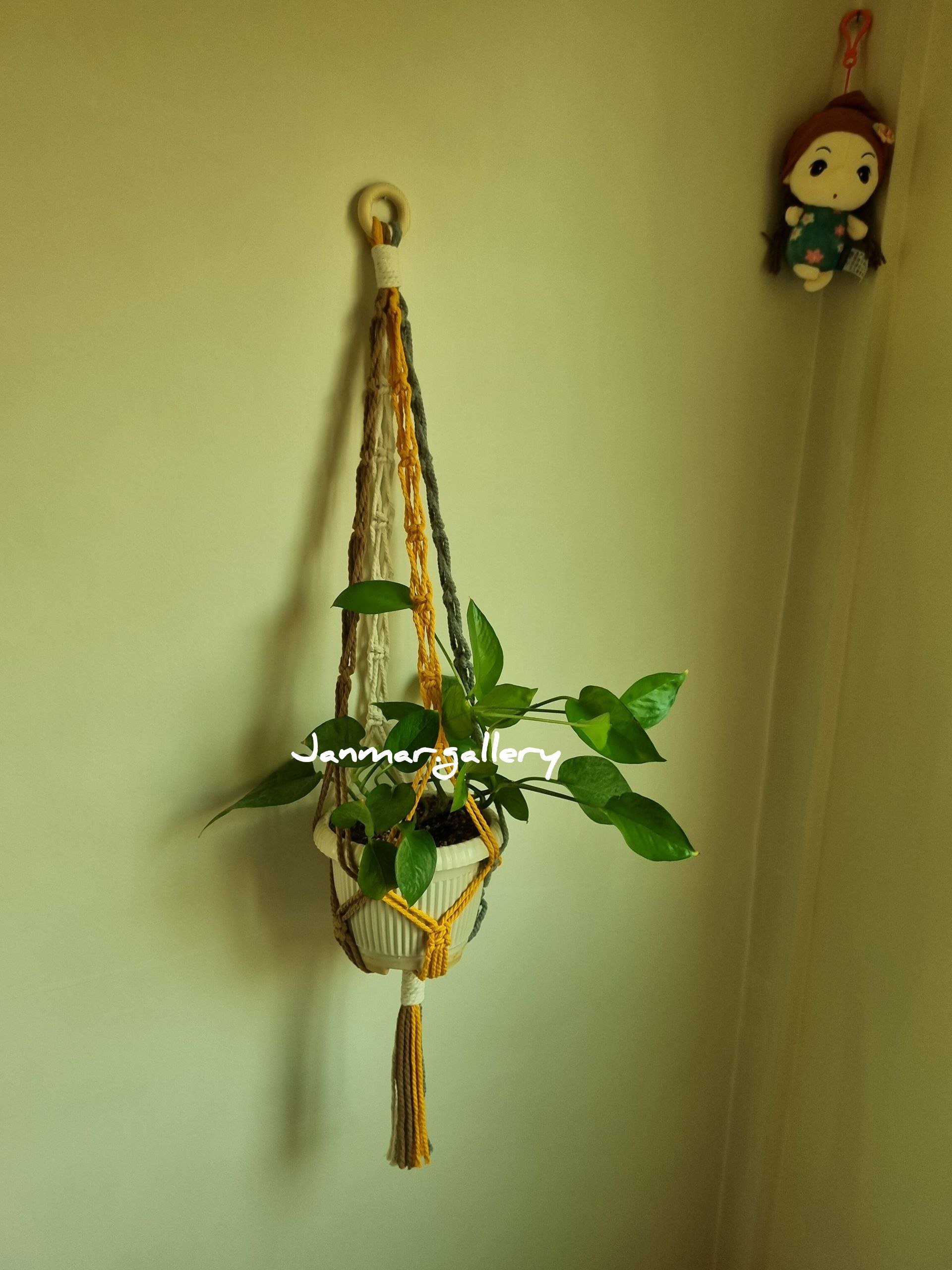 آویز گلدان سقفی و دیواری