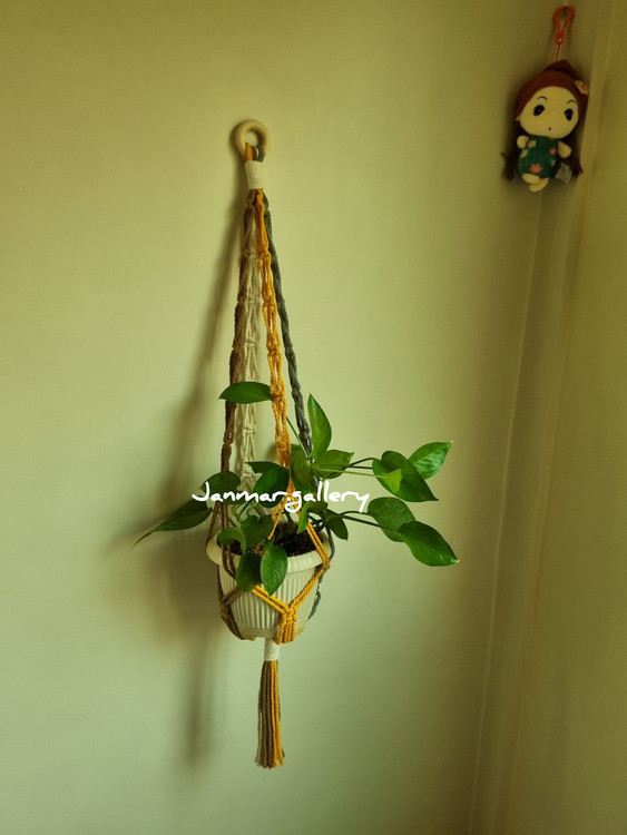 آویز گلدان سقفی و دیواری