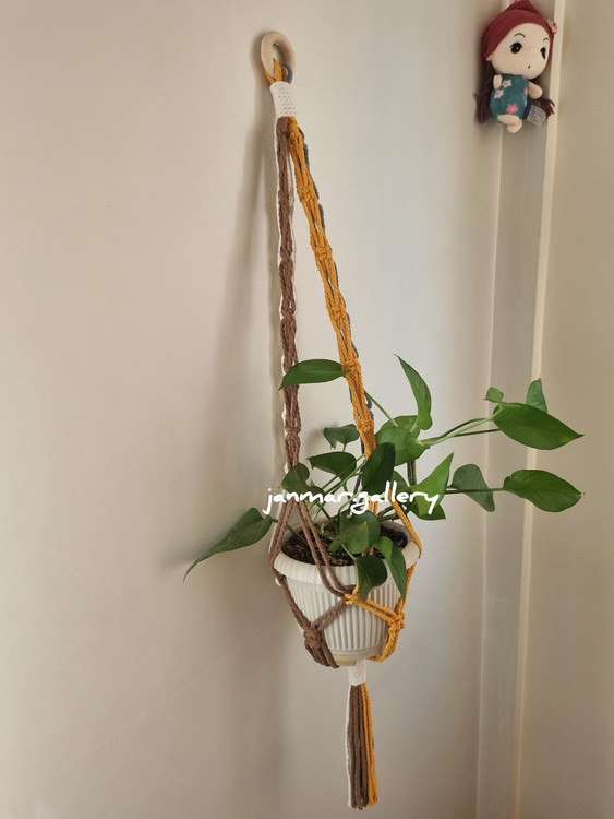 خرید آنلاین آویز گلدان