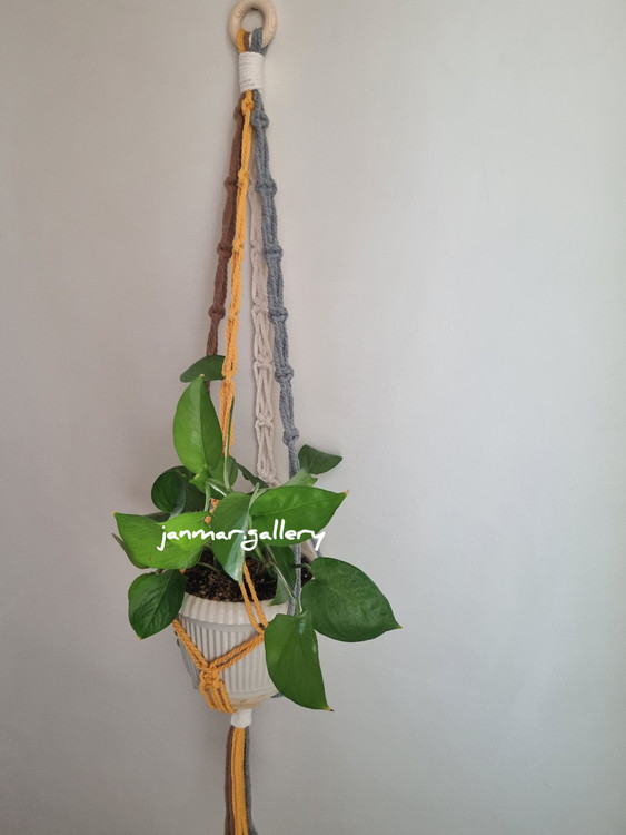 خرید آنلاین آویز گلدان از تهران