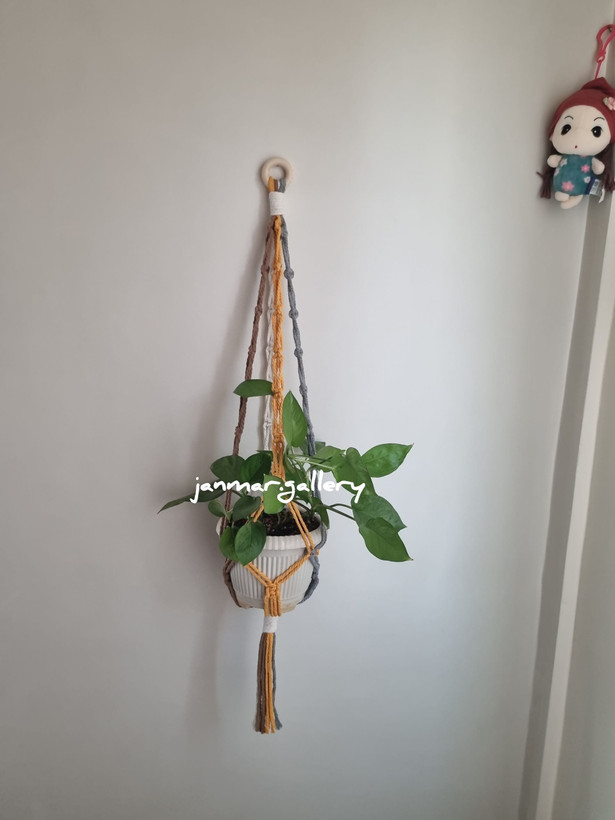 گل و گیاه